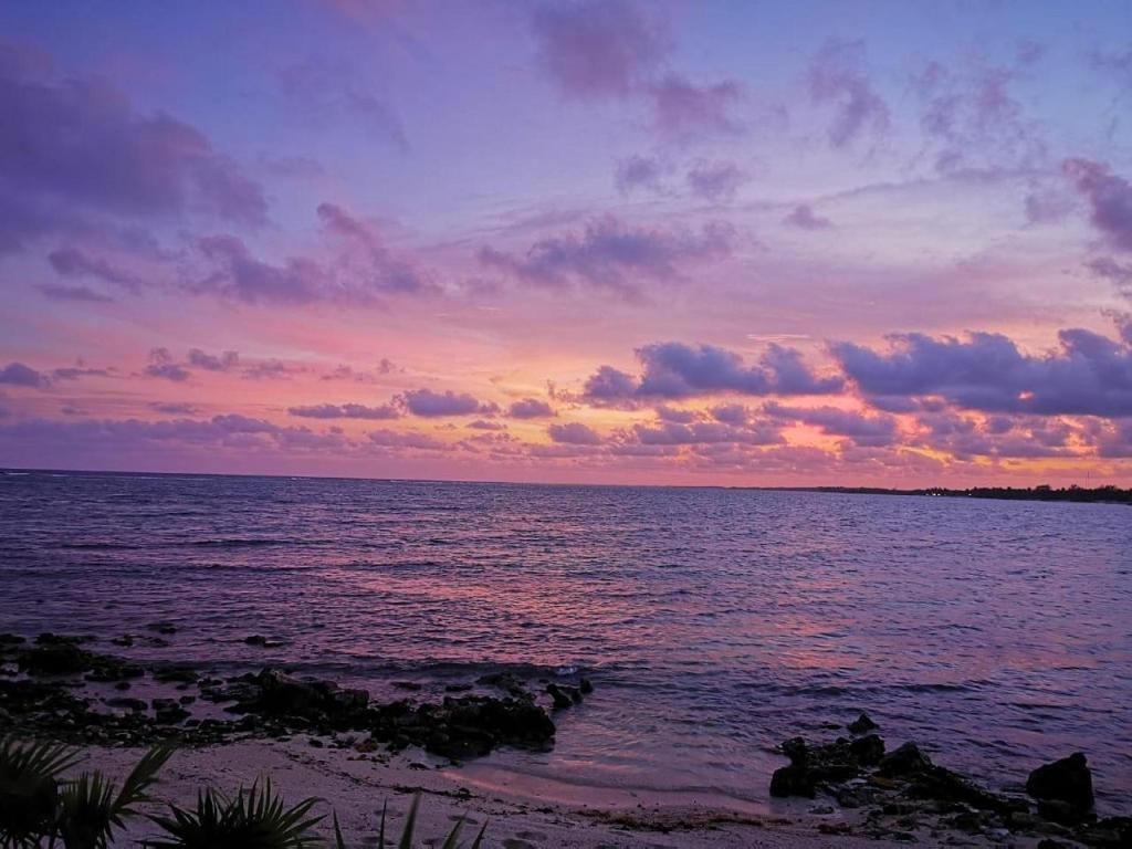 Apartmán Tulsayab Luxury Development Tulum Exteriér fotografie