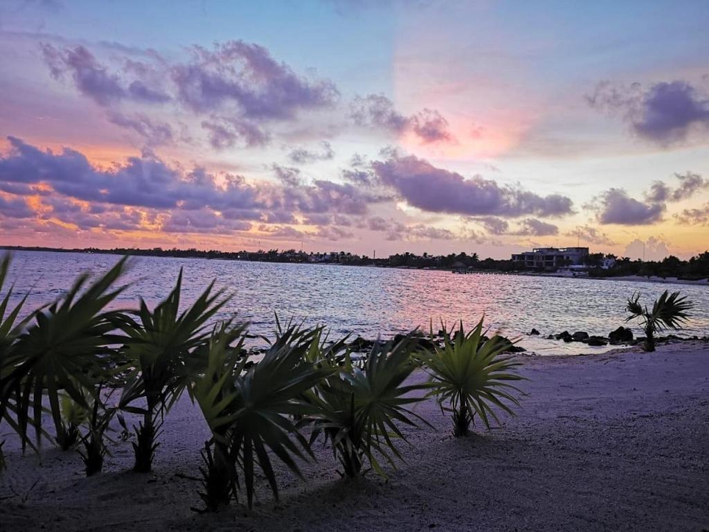 Apartmán Tulsayab Luxury Development Tulum Exteriér fotografie